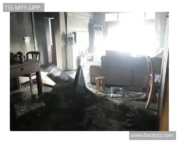 维尼修斯家中火灾调查揭示地下室桑拿房成起火源头